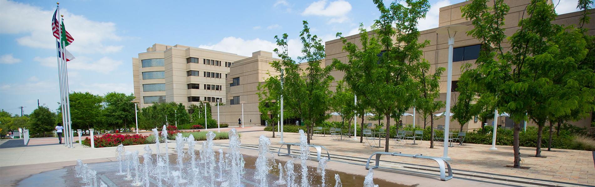 UNT HSC - campus fountain